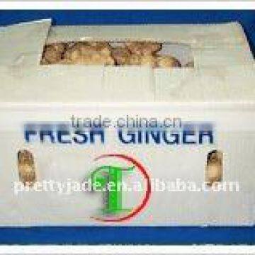 Chinese fresh ginger packed in carton