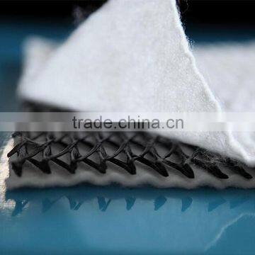 Composite Geonet for Refuse Landfill photo-4