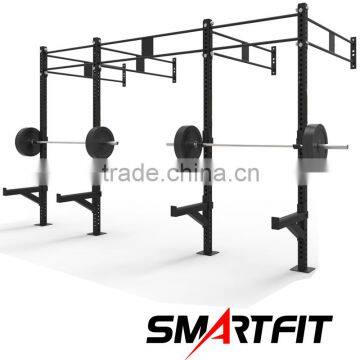 wall mounted sectional crossfit rig