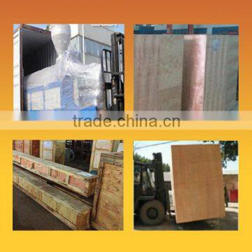 Stable Performance High Speed Plastic Milk Cup Automatic Thermoforming Packing Machine photo-6