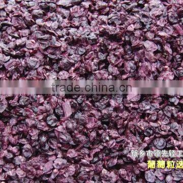 Strong Double Screw Fruit Juice Extractor photo-2