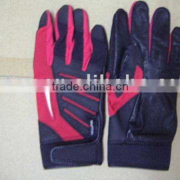 Ski Glove / Sports Glove / Winter Glove