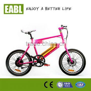 brushless electric bicycler