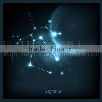 constellation series canvas art wall decoration