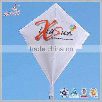 Chinese Custom Made Kite with competitive price