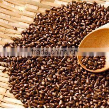 Cassia Tea/Cassia Tora Seed/Semen Cassiae Seeds/Cassia Tora Seeds From India - CTS photo-3