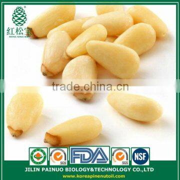 Promotion New Harvest Export Organic Cedar Pine Nut Kernels