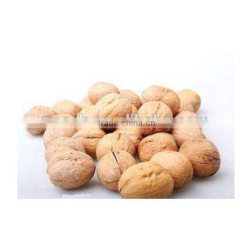 china good quality walnut for sale