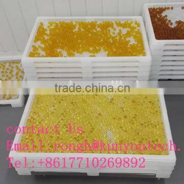 FDA Proved Pharmaceutial Softgel Gelatinous Capsule Filling Machine For Large Scale Production photo-4