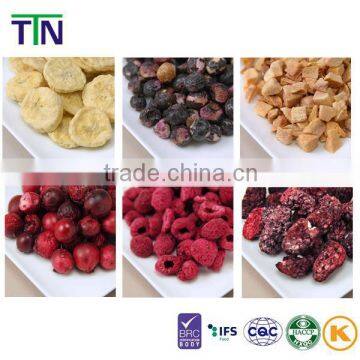 TTN 2016 New Product Dried fruit Freeze Dried Fruit for Sale