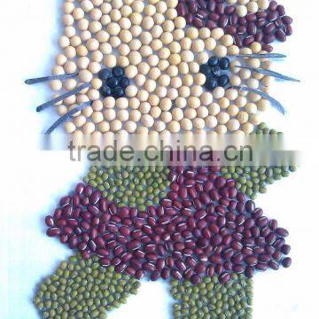 Soybean/soya bean