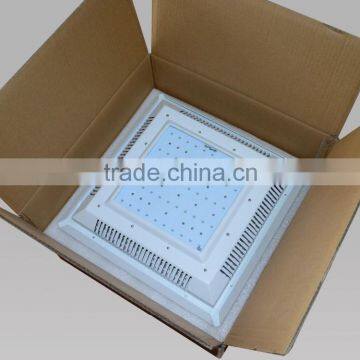 Latest Technology LED Explosion Proof Lamp photo-3