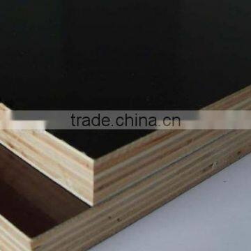 linyi best price of 12mm marine plywood to africa and UAE market