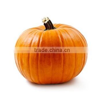 Red Pumpkin Exporters