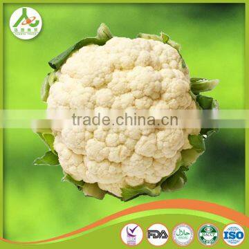 New Crop Grade A Fresh Cauliflower photo-4
