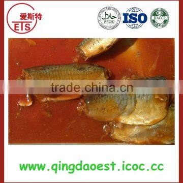 Canned Mackerel in Tomato Sauce With Competitive Price From China