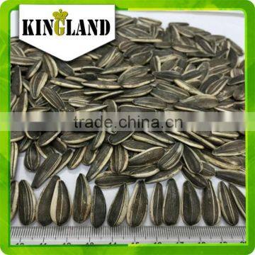 8mm Import Sunflower Seeds