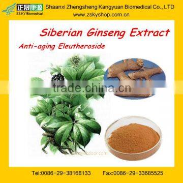 Siberian Ginseng Extract Eleutheroside