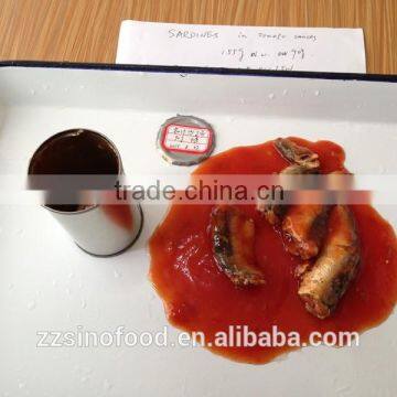 Canned Fish Canned Sardines in tomato sauce for sale