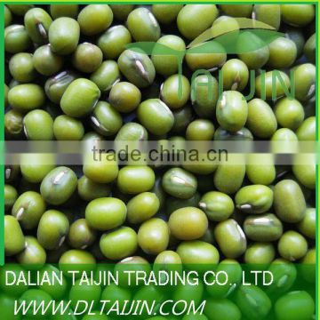 2011 Hight Quality Green Mung Bean for Sprout