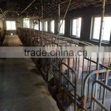 ^farming equipment galvanized gestation /single size stall for sows