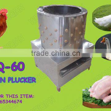 Turkey plucker machine price in Turkey with CE apprived WQ-65