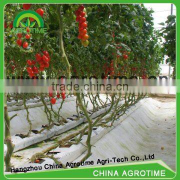Greenhouse Hydroponics Systems for Sales photo-2