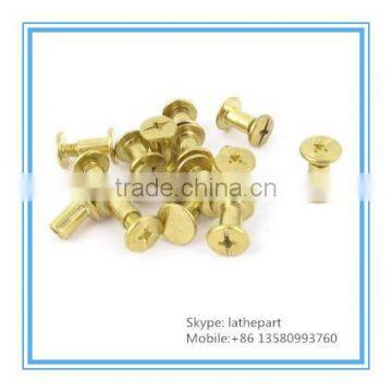China Supplier Brass /stainless Steel/aluminum Chicago Screws photo-6