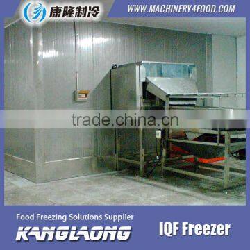 High Quality IQF Frozen Fruit Mango Machine With Good Price photo-2
