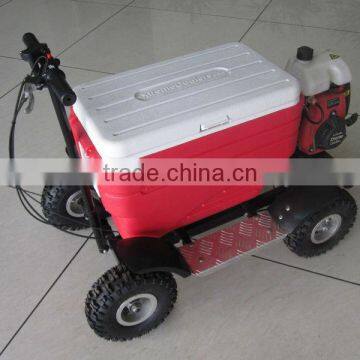 Best Quality Gas Cooler Scooter 43CC SX-G110 From China photo-5
