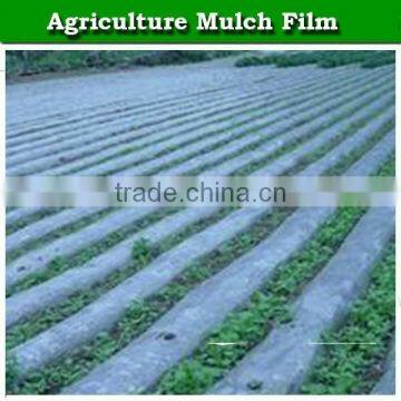 High Quality LDPE White and Black Plastic Mulch Film for Agriculture