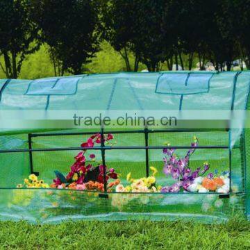 2012 new design PE cover green house (HDS20801)