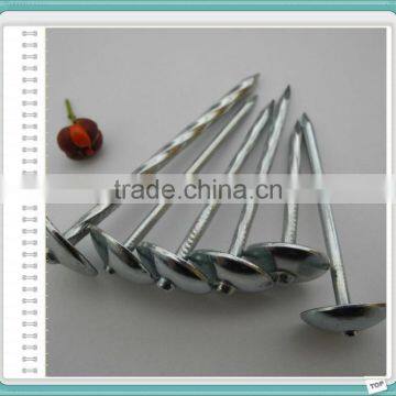 Ceiling Nails With Umbrella Head photo-2