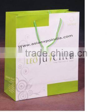Paper Bags With Glossy Finish and Rope Handles