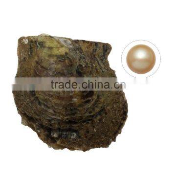 Good quality Pearl Oyster with pearl Potato pink 9-10mm wholesale