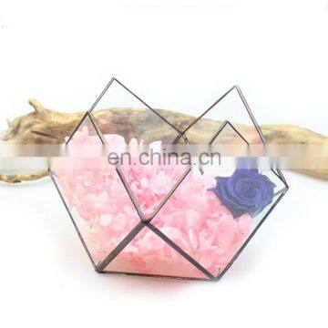 Terrarium With Ring Geometric Glass Terrarium Wholesale photo-2