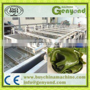 Gemüsespülmaschine / Seetangverpackungsmaschine / Hochwertige Kelpensäuberungsmaschine photo-2