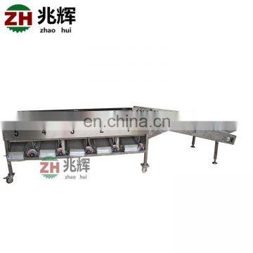 Efficient Vegetable and Fruit Sorting Machine/tomato Grader /orange Sorting Machine photo-5