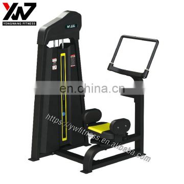 Commercial strength equipment rotary torso