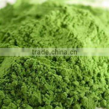 Wheat Grass Powder For Sales