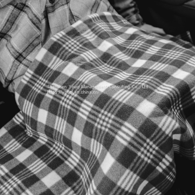 12V Vehicle Electric Blanket/ Car Use Electric Blanket/ Sport 12V Car Electric Blanket/ Fleece 12V Vehicle Electric Blanket/ Portable 12V Car Electric Blanket/ photo-2