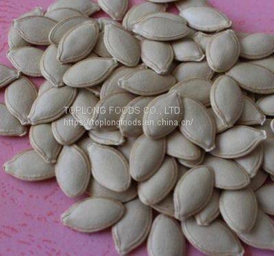 Pumpkin Seeds photo-3