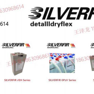 DEU SILVERFIR BATTERY 2VEG600 220V600Ah EPS