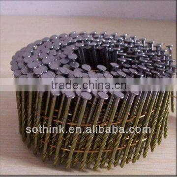 iron screw coil nails with colored finished