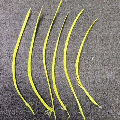 Dyed green Stripped Goose Biots Feather for Wholesale