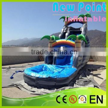 New Point inflatable water slide,inflatable slide for summer,latest garden play inflatable slide