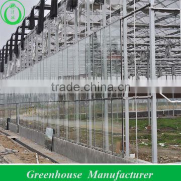 Commercial Greenhouse Glass