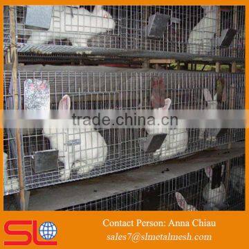 rabbit farm for sale / rabbit cage in kenya farm / rabbit farm supplies                        
                                                                                Supplier's Choice