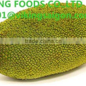 FRESH JACKFRUIT_ FROM VIET NAM_NEW CROP