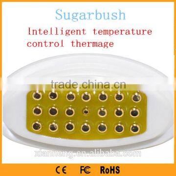 Popular Temperature Control Radio Frequency Machine Firming Facial Home Beauty Equipment